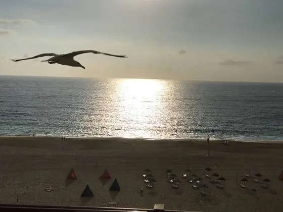 Apart Daire, Birden Çok Yatak