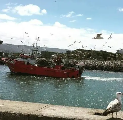 Apart Daire, Birden Çok Yatak