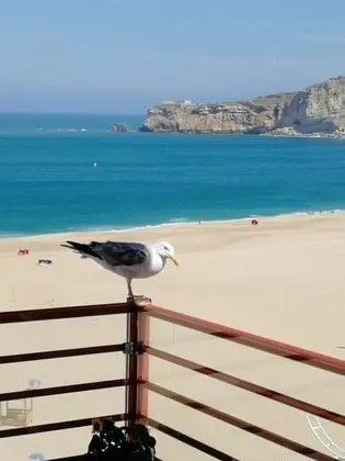 Apart Daire, Birden Çok Yatak