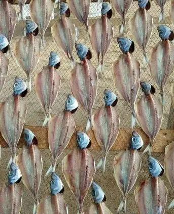 Apart Daire, Birden Çok Yatak