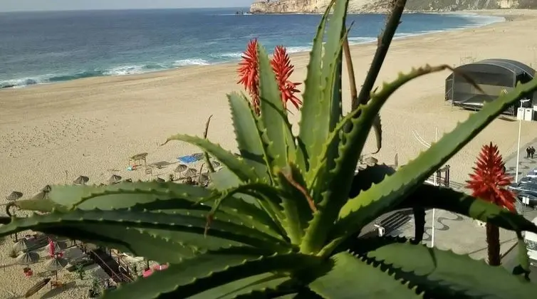 Apart Daire, Birden Çok Yatak