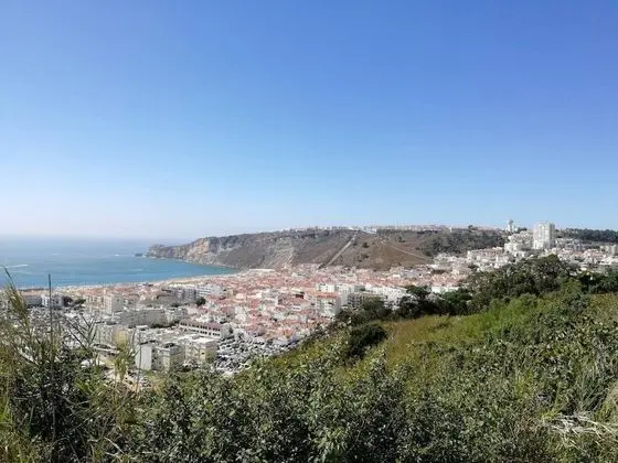 Apart Daire, Birden Çok Yatak