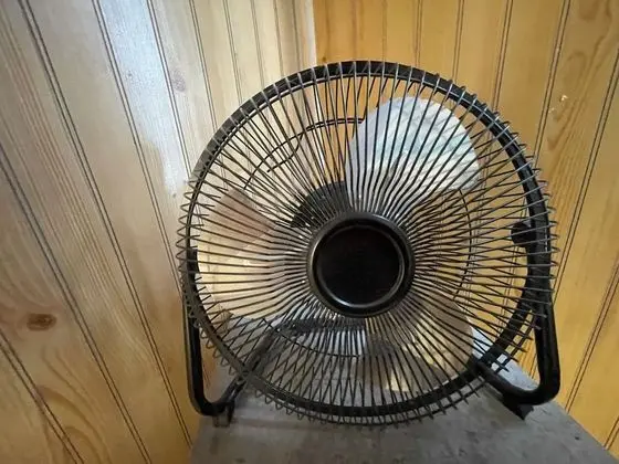 Oda