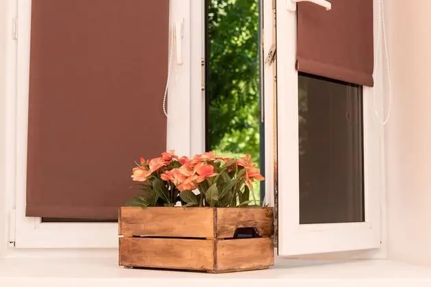 Standard Tek Büyük veya İki Ayrı Yataklı Oda, 1 Yatak Odası, Ortak Banyo