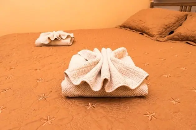 Standard Tek Büyük veya İki Ayrı Yataklı Oda, 1 Yatak Odası, Ortak Banyo