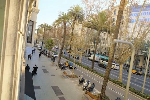Tek Büyük Yataklı Oda, Şehir Manzaralı