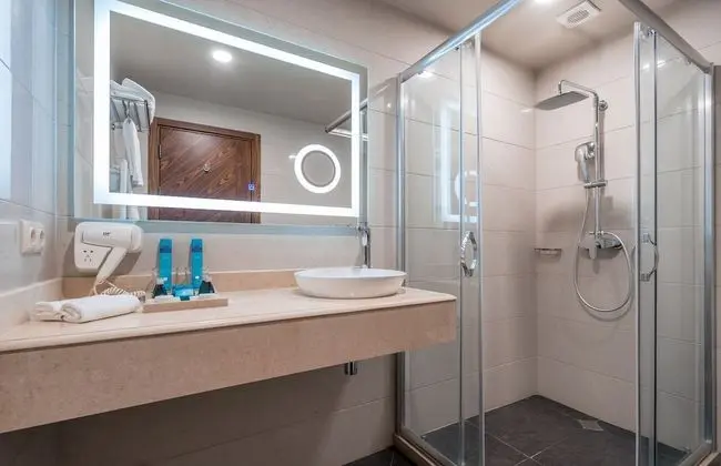Standard Tek Büyük Yataklı Oda, 1 En Büyük (King) Boy Yatak