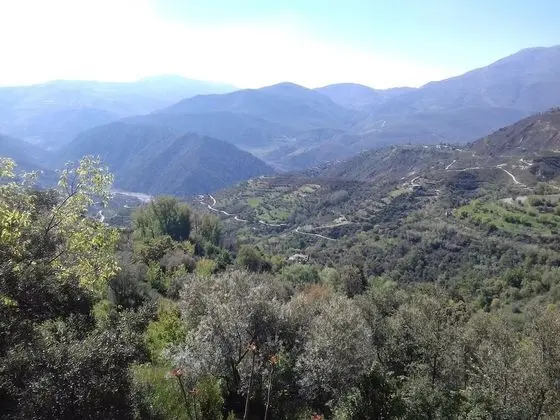 Apart Daire, Özel Banyo (de 1 dormitorio)