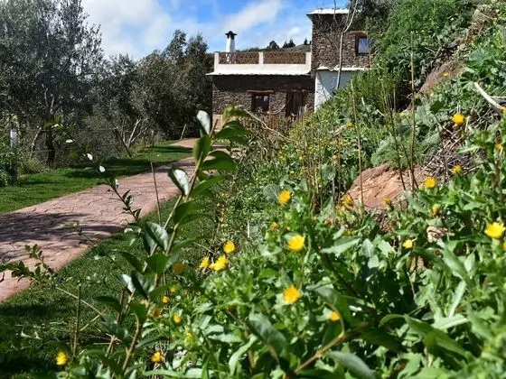 Apart Daire, Özel Banyo (de 1 dormitorio)