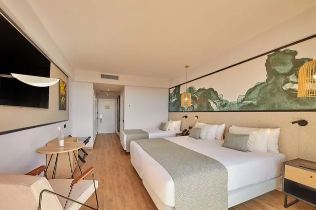 Tek Büyük Yataklı Oda (3 Adults)