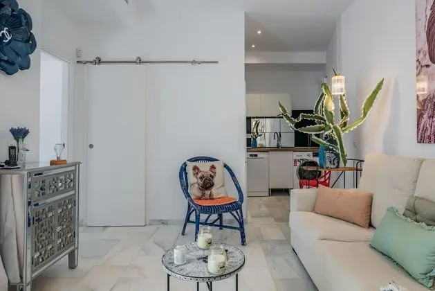 Premium Apart Daire