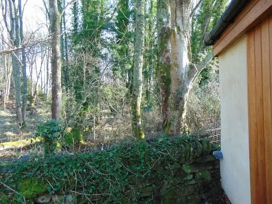 Kır Evi, 1 Yatak Odası