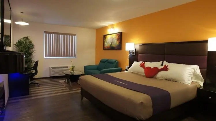 King Bed Jacuzzi Executive Suite