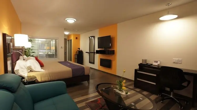King Bed Jacuzzi Executive Suite