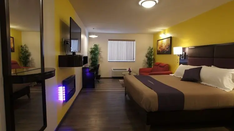 King Bed Suite