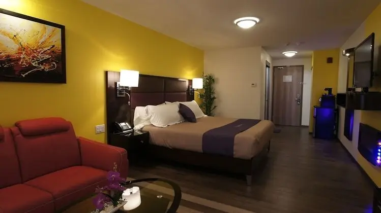 King Bed Suite