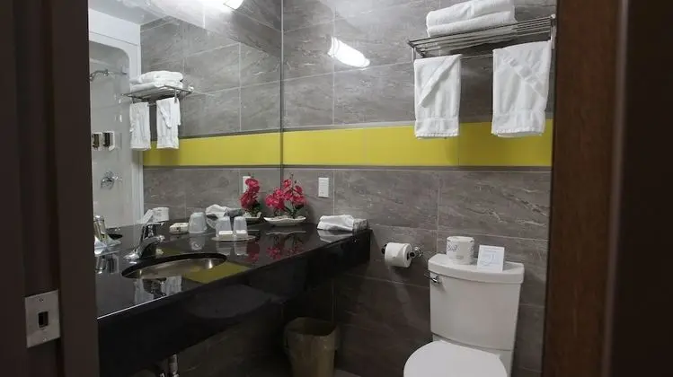 King Bed Suite