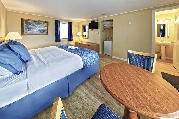 Economy Oda, 1 En Büyük (King) Boy Yatak, Sigara İçilmez, Şehir Manzaralı (Ocean Breeze)