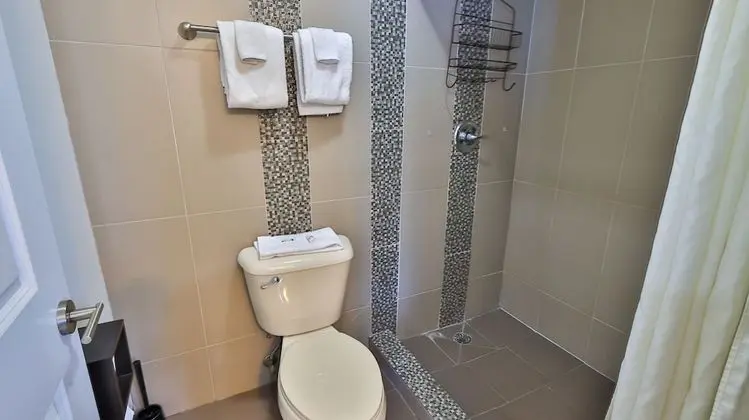Çatı Katı Süiti (Penthouse)