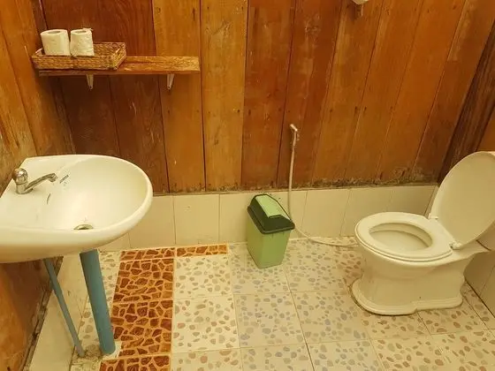 Bungalov, Okyanus Manzaralı (Beach)