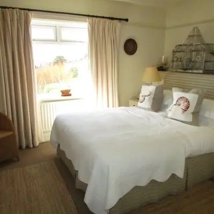 Standard Tek Büyük Yataklı Oda (Room 1)