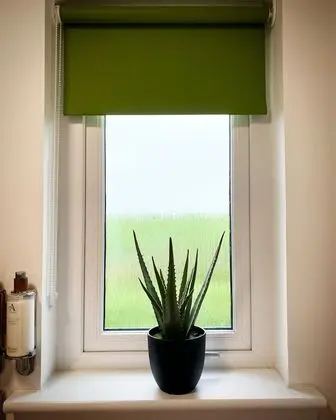 Romantic Bungalov