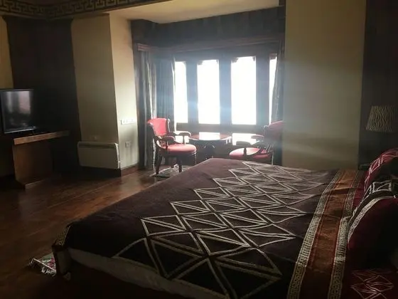 Standard Tek Büyük veya İki Ayrı Yataklı Oda, 1 Yatak Odası