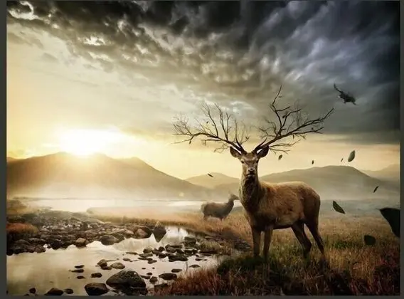 Standard Tek Büyük Yataklı Oda