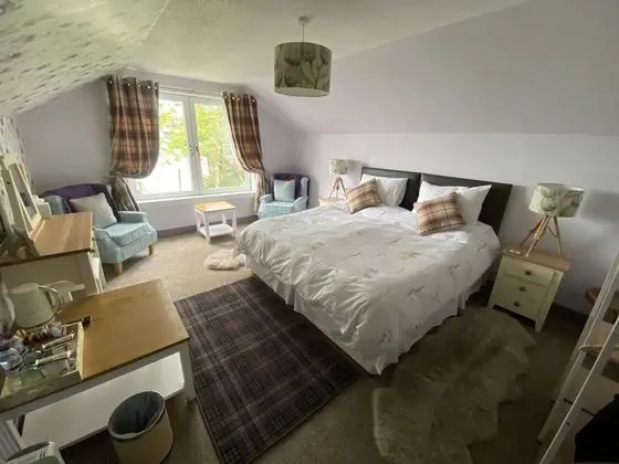 Superior Tek Büyük Yataklı Oda