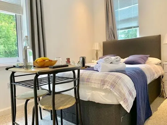 Standard Tek Büyük Yataklı Oda, Banyolu/Duşlu (Small Double)