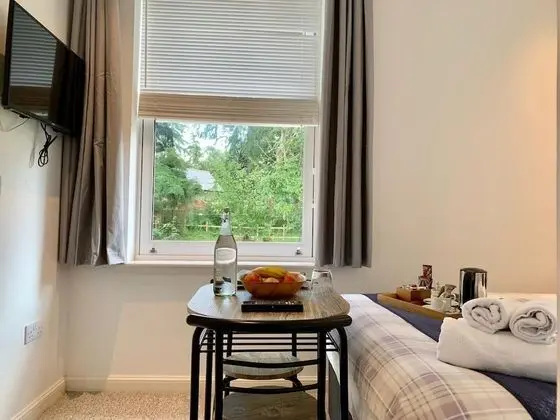Standard Tek Büyük Yataklı Oda, Banyolu/Duşlu (Small Double)