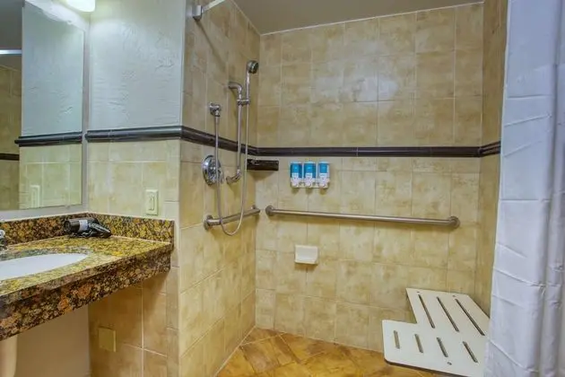 Deluxe Oda, 1 En Büyük (King) Boy Yatak, Engellilere Uygun, Buzdolabı ve Mikrodalga (Roll in Shower)