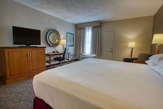 Deluxe Oda, 1 En Büyük (King) Boy Yatak, Engellilere Uygun (Roll in Shower, Oversized Terrace)