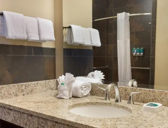 Süit, 1 En Büyük (King) Boy Yatak ve Çekyat, Engellilere Uygun (2 Rooms, Hearing Accessible, Tub)