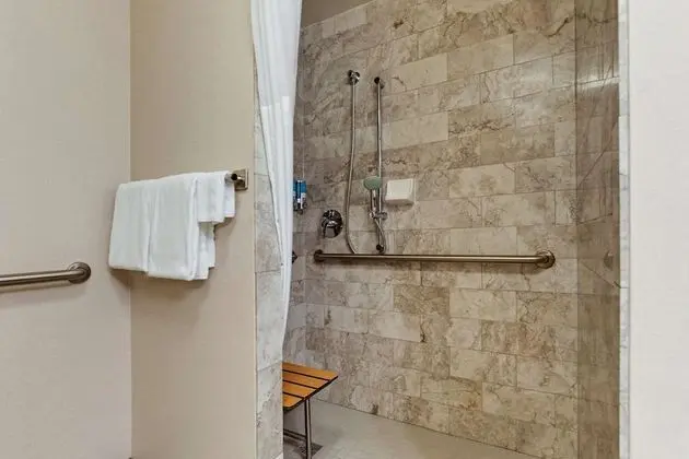 Süit, 2 Büyük (Queen) Boy Yatak, Engellilere Uygun (Sofabed, 2 Rooms, Roll in Shower)