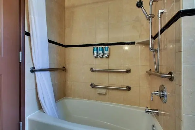 Süit, 1 En Büyük (King) Boy Yatak ve Çekyat, Engellilere Uygun (2 Rooms, Tub)