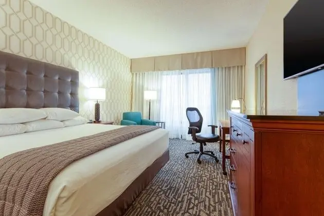 Deluxe Oda, 1 En Büyük (King) Boy Yatak, Buzdolabı ve Mikrodalga (Upper Floor)