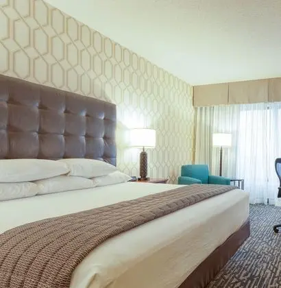 Deluxe Oda, 1 En Büyük (King) Boy Yatak, Buzdolabı ve Mikrodalga (Upper Floor)