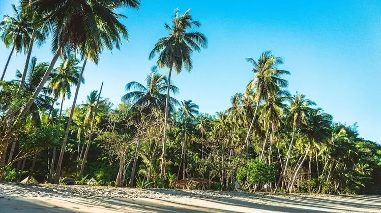 Çadır (Beach Glamping)