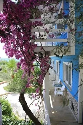 Standard Üç Kişilik Oda