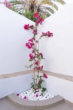 Deluxe Villa, 2 Yatak Odası (1)