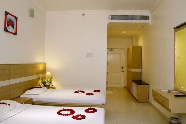 Superior Oda, 1 Çift Kişilik Yatak, Şehir Manzaralı