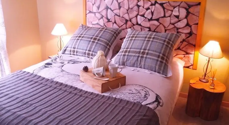 Tek Büyük Yataklı Oda (Douceur de Chataignes)