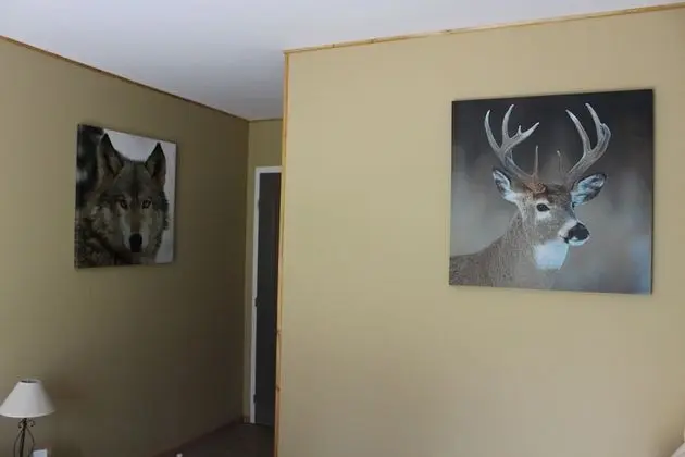 Tek Büyük Yataklı Oda (Douceur de Chataignes)