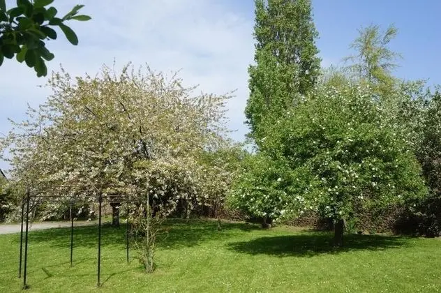 Luxury Villa, Banyolu/Duşlu, Park Manzaralı