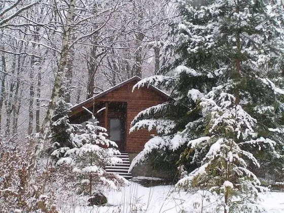 Family Bungalov