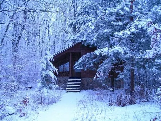 Family Bungalov