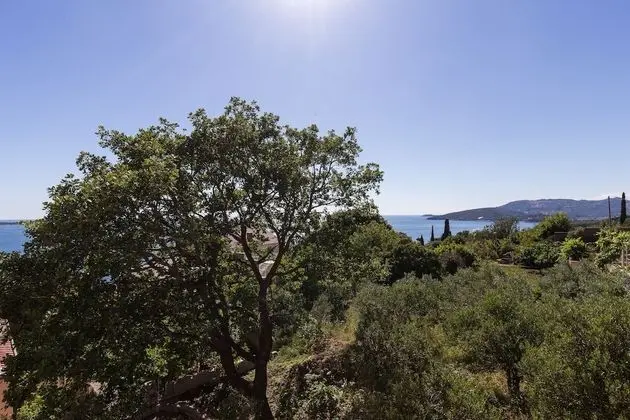 Superior Stüdyo, Balkon, Deniz Manzaralı
