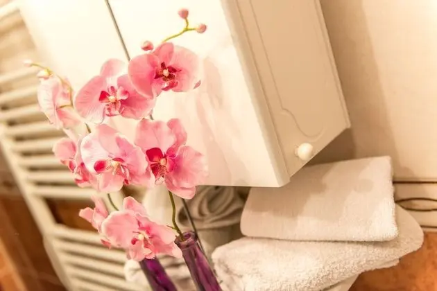 Deluxe Apart Daire, 2 Yatak Odası, Mutfak