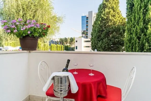 Tek Büyük veya İki Ayrı Yataklı Oda, Balkon